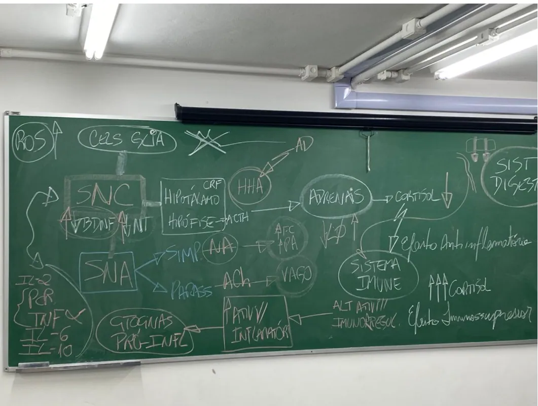 Anotações de estudo relacionadas à formação em Psicologia